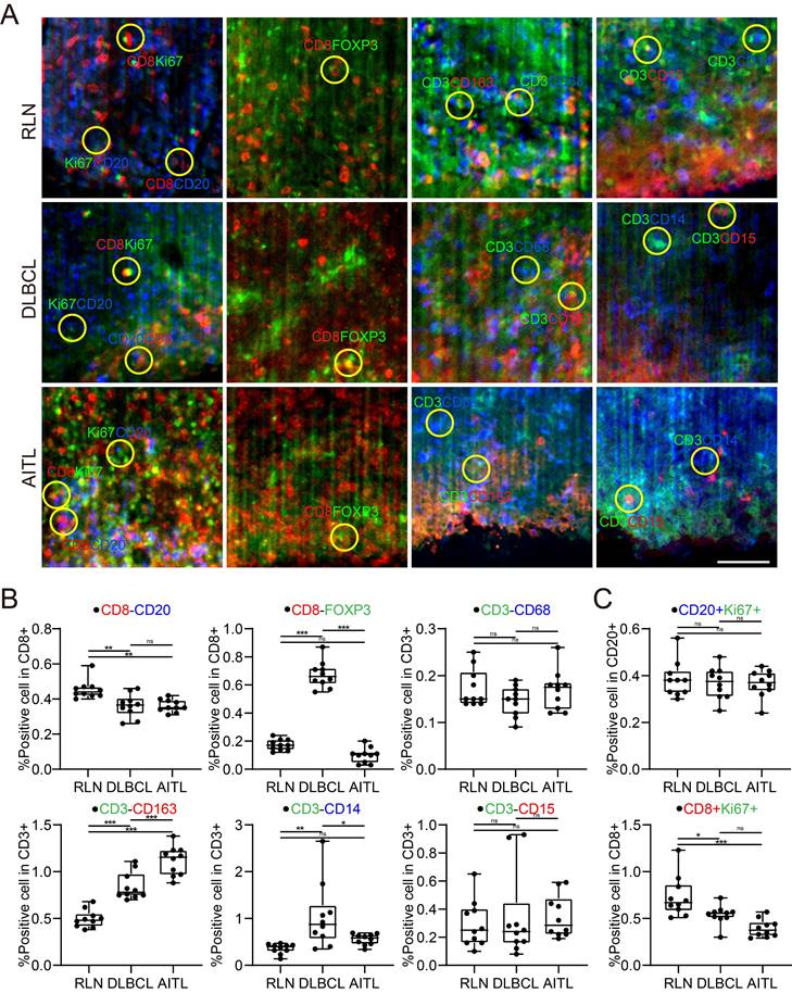 Theranostics Image