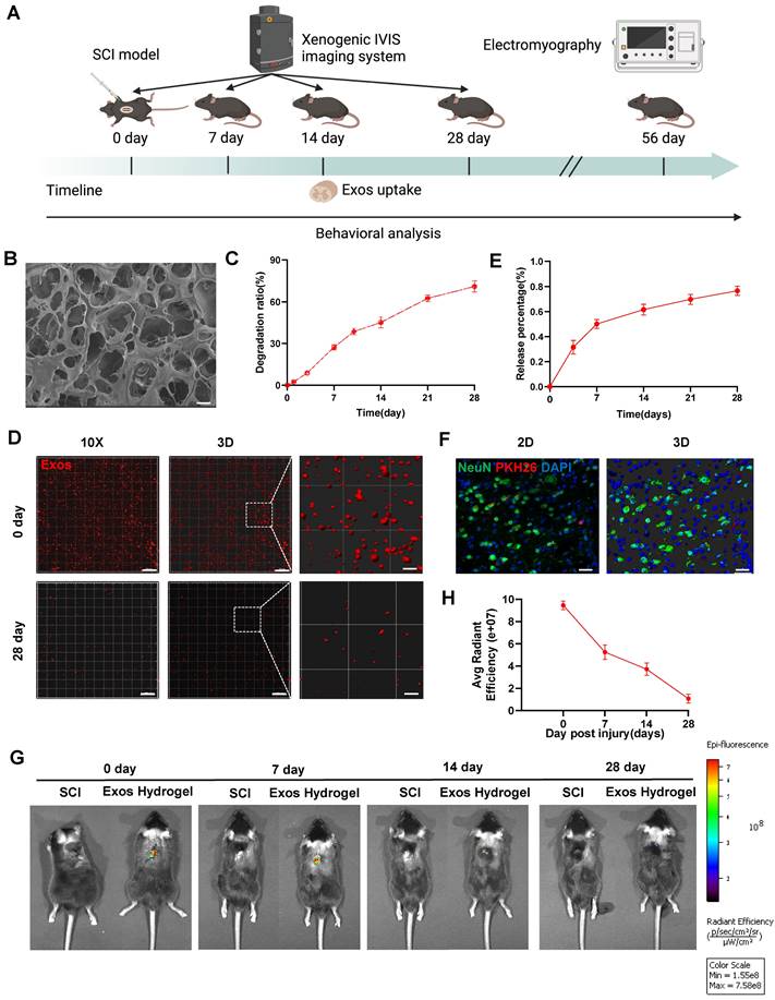 Theranostics Image