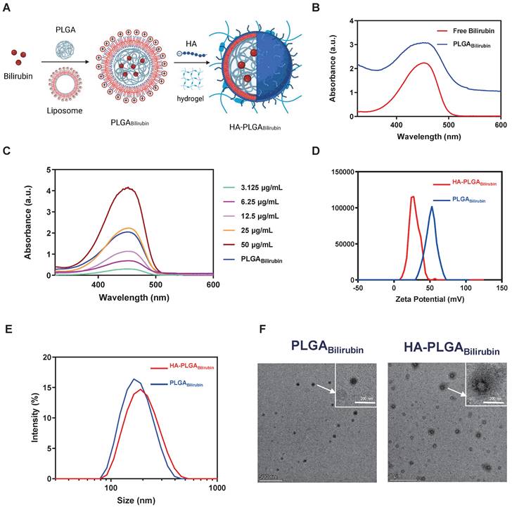 Theranostics Image