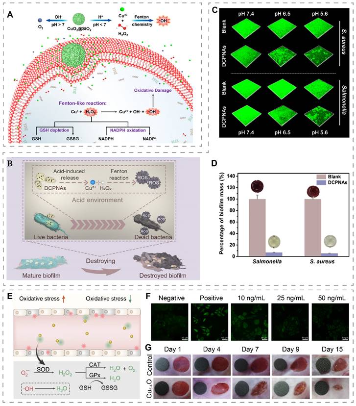 Theranostics Image