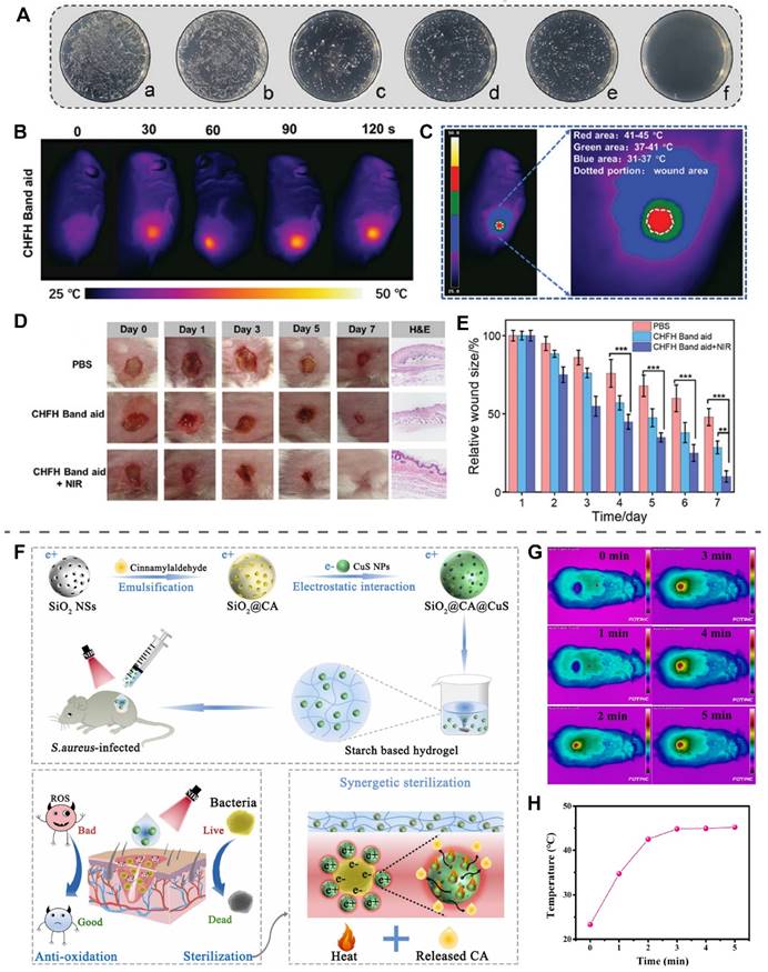 Theranostics Image