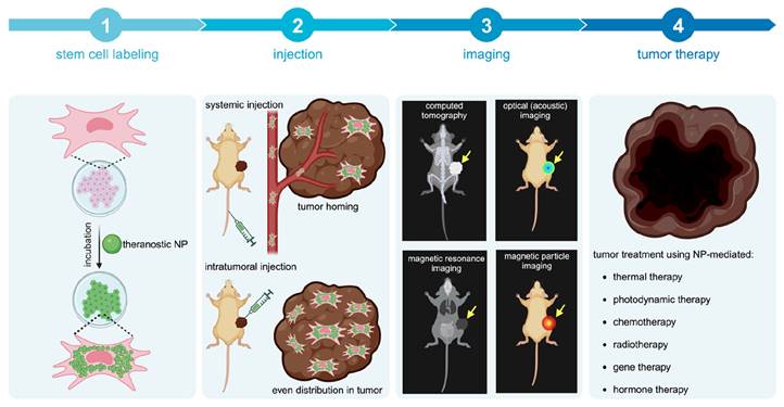 Theranostics Image