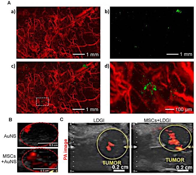 Theranostics Image