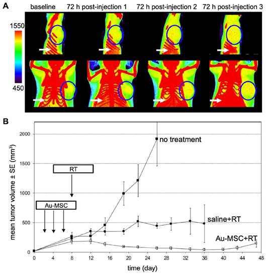 Theranostics Image