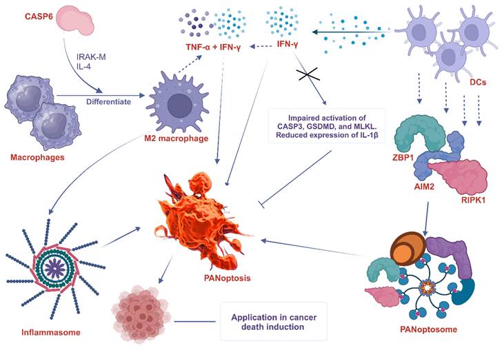 Theranostics Image