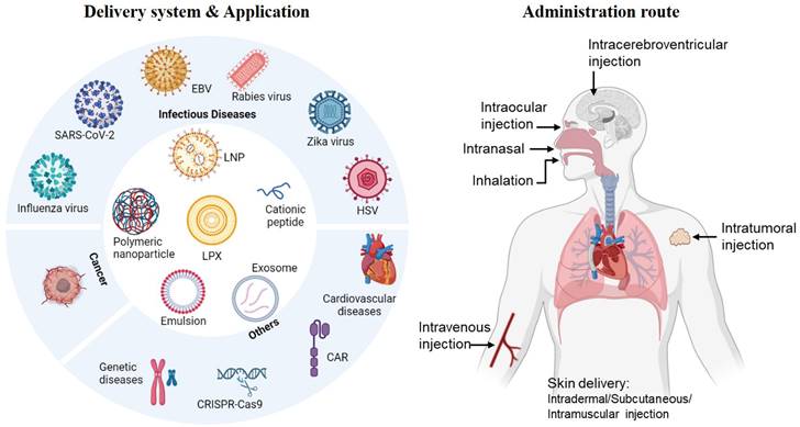 Theranostics Image