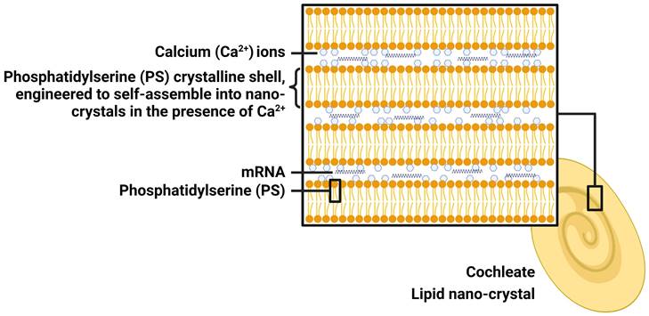 Theranostics Image