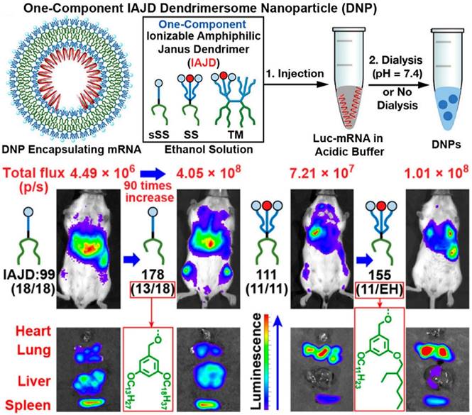 Theranostics Image