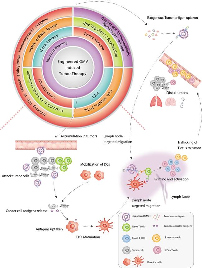 Theranostics Image