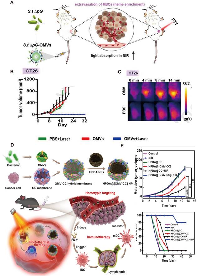 Theranostics Image