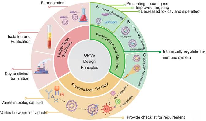 Theranostics Image