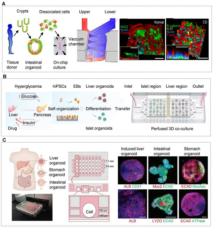 Theranostics Image