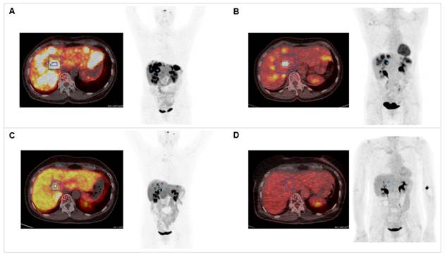 Theranostics Image