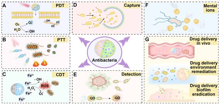 Theranostics Image