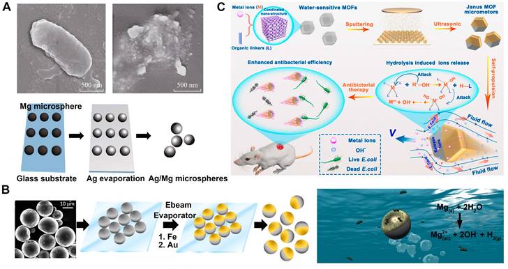 Theranostics Image