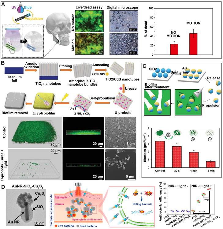 Theranostics Image