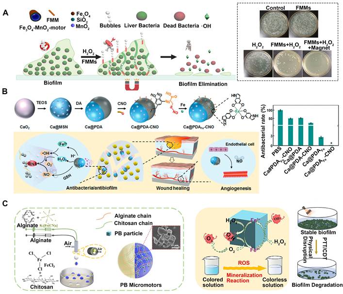 Theranostics Image