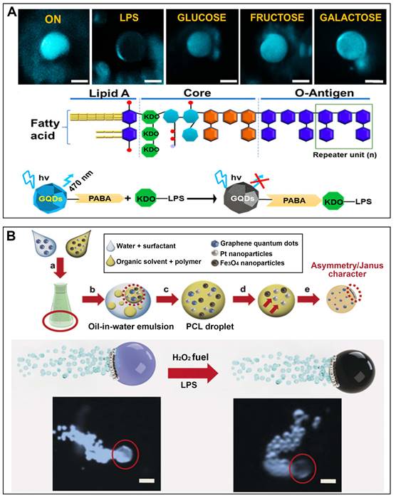 Theranostics Image