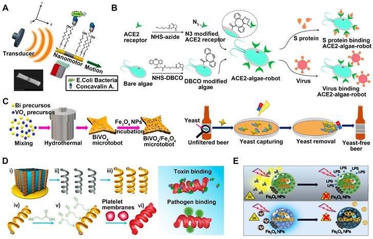 Theranostics Image