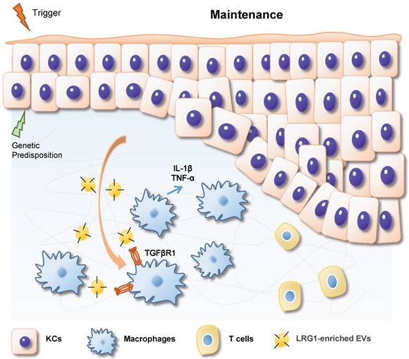 Theranostics Image