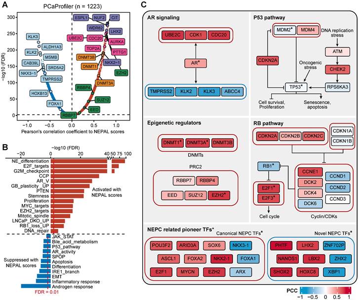 Theranostics Image