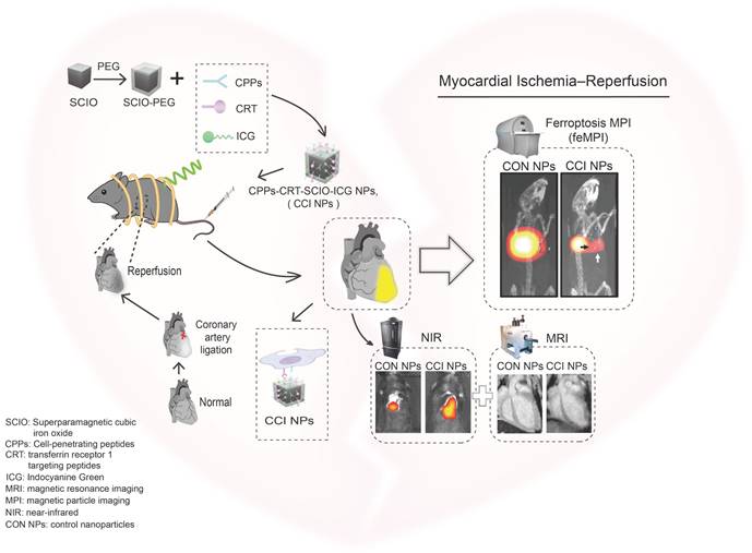 Theranostics Image