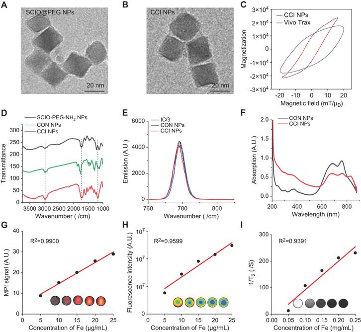 Theranostics Image