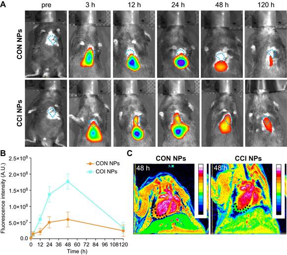 Theranostics Image