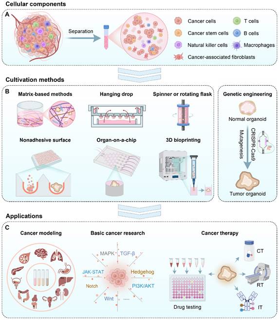 Theranostics Image