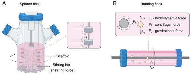 Theranostics Image