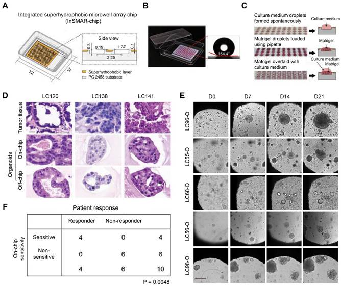 Theranostics Image