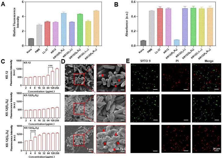 Theranostics Image