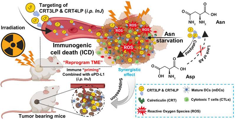 Theranostics Image