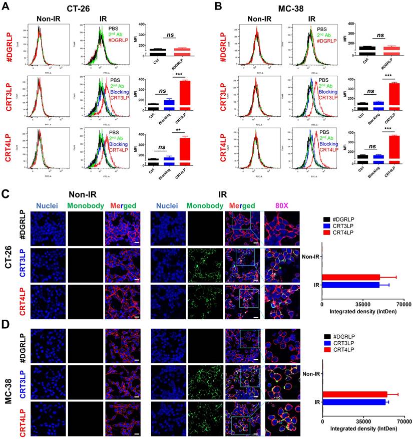 Theranostics Image