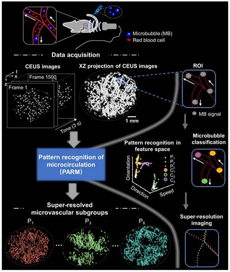 Theranostics Image