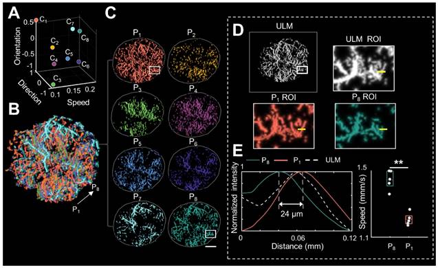 Theranostics Image