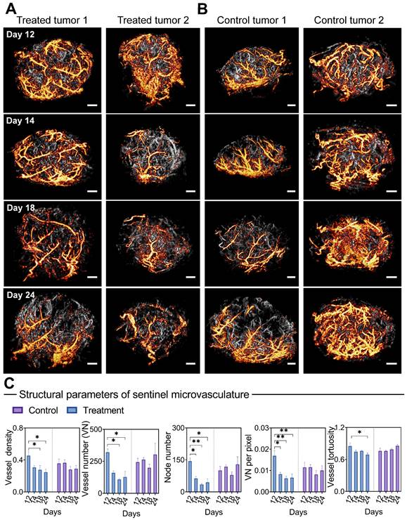 Theranostics Image