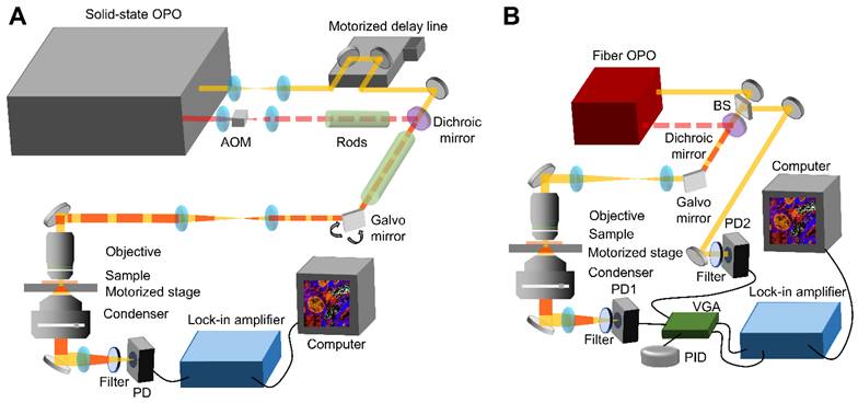 Theranostics Image