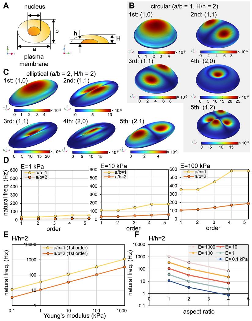 Theranostics Image