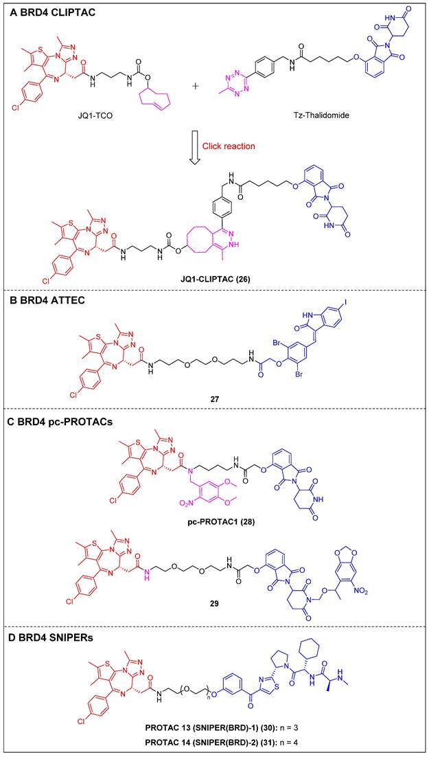 Theranostics Image