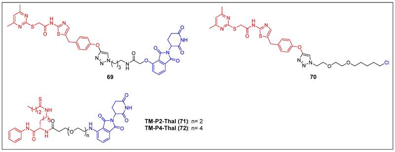 Theranostics Image