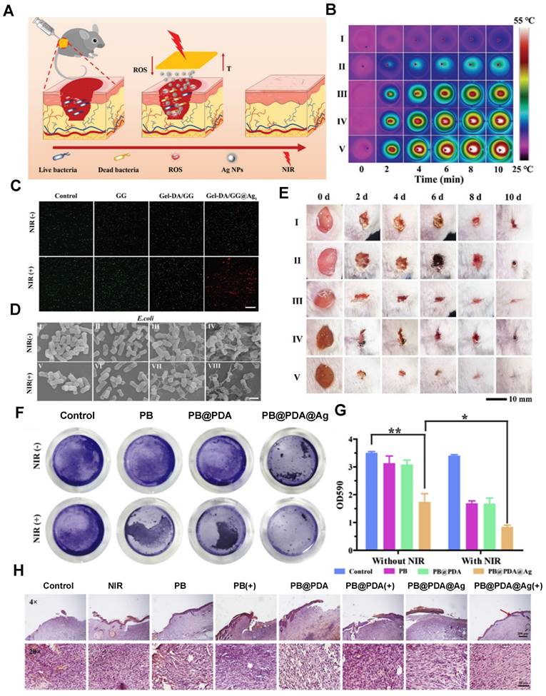 Theranostics Image