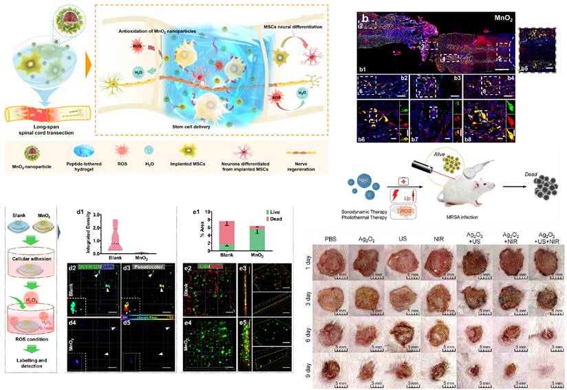 Theranostics Image