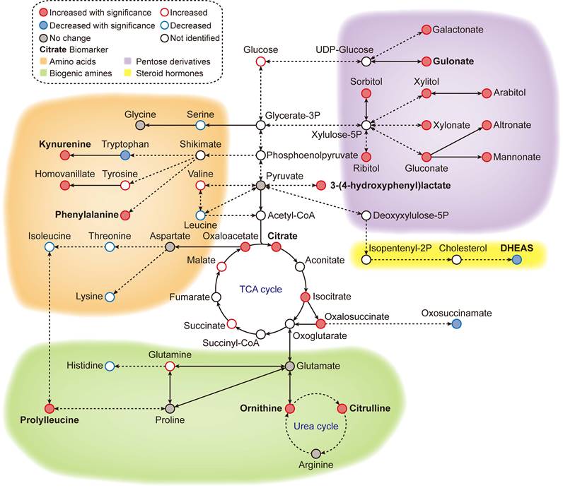 Theranostics Image