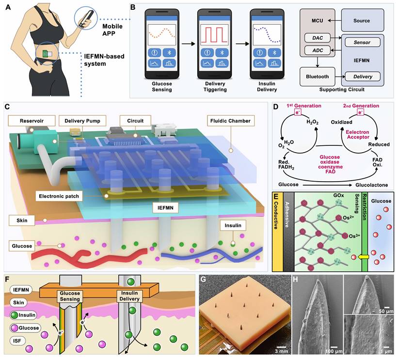 Theranostics Image