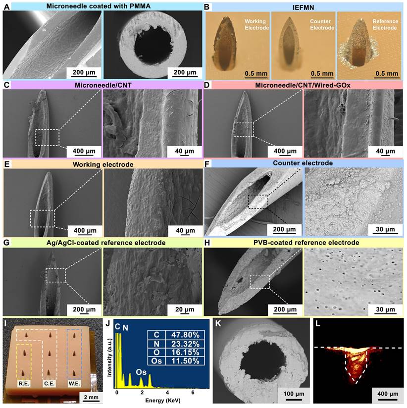 Theranostics Image