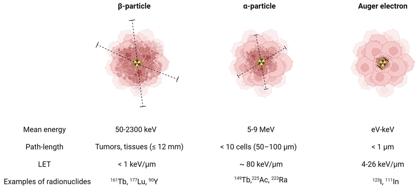 Theranostics Image