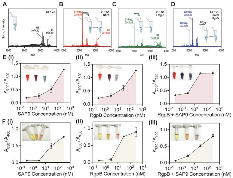 Theranostics Image