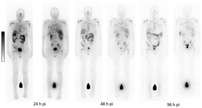 Theranostics Image