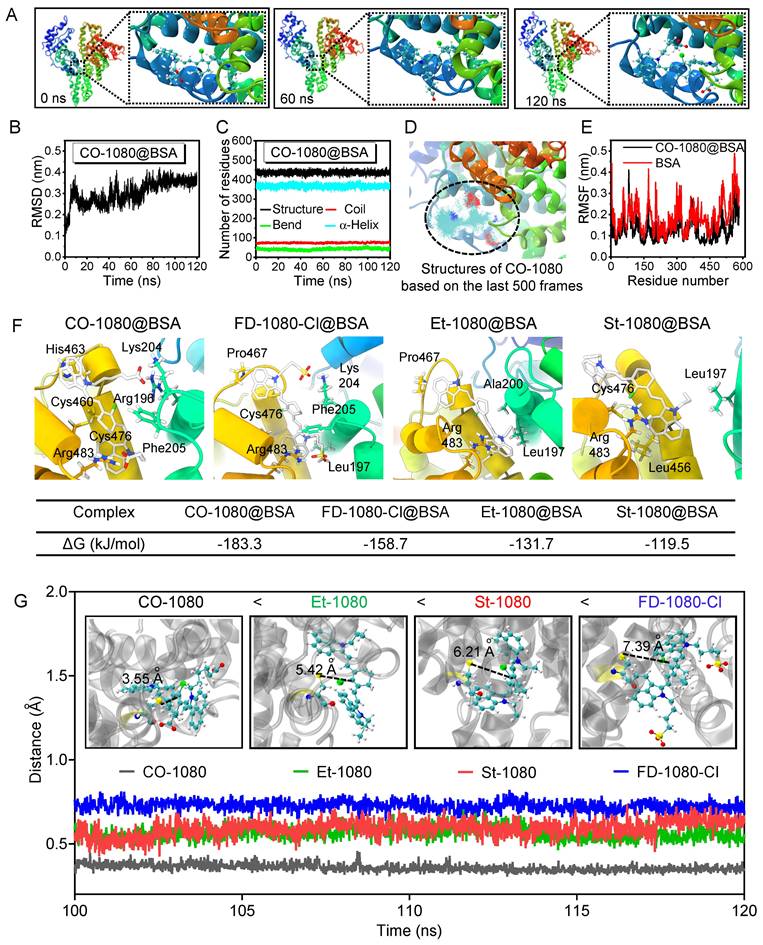 Theranostics Image